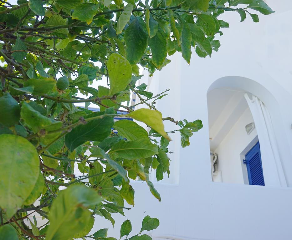 Klironomos Apartments Logaras Exterior foto