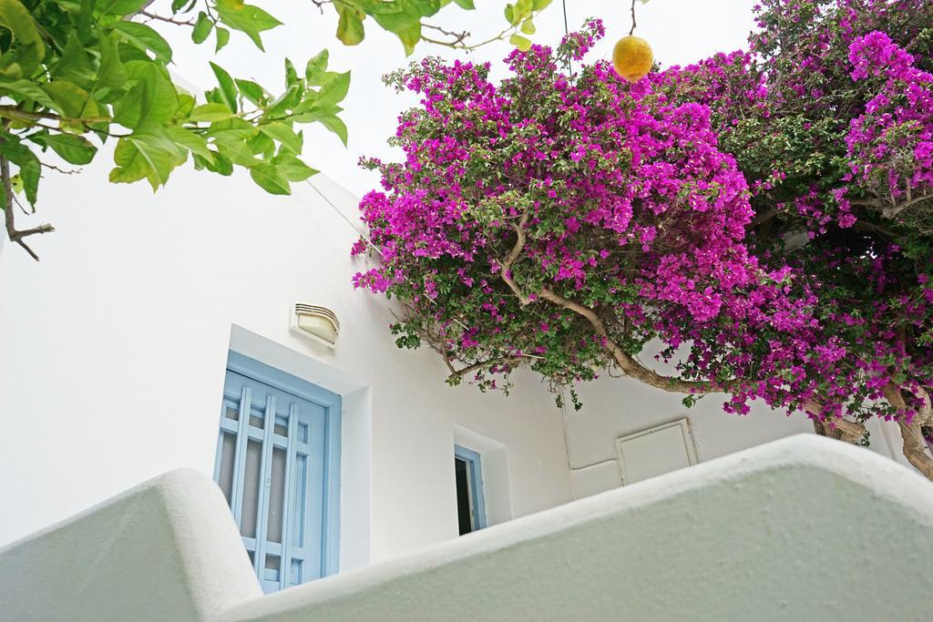 Klironomos Apartments Logaras Exterior foto
