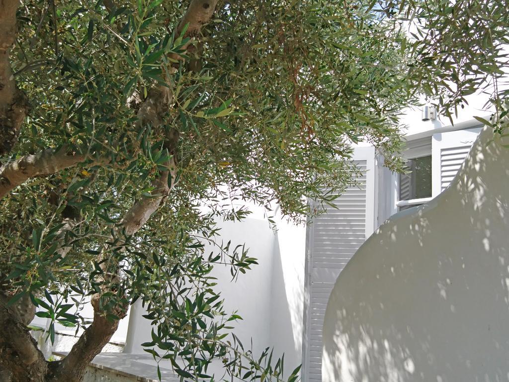 Klironomos Apartments Logaras Exterior foto