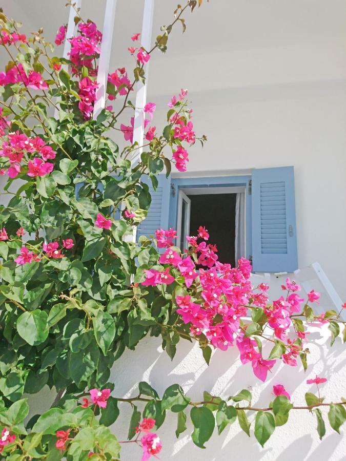 Klironomos Apartments Logaras Exterior foto